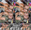 Evenement foto: 1262
