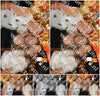 Evenement foto: 1262