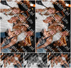 Evenement foto: 1261