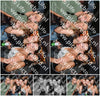 Evenement foto: 1259