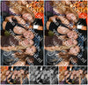 Evenement foto: 1259