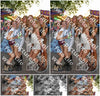 Evenement foto: 1258