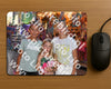 Evenement foto: 1258