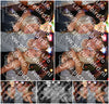 Evenement foto: 1255