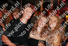 Evenement foto: 1254