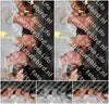 Evenement foto: 1253