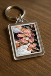 Evenement foto: 1253