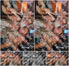 Evenement foto: 1253