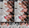 Evenement foto: 1253
