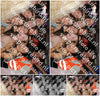 Evenement foto: 1252