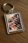 Evenement foto: 1252