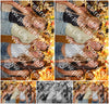 Evenement foto: 1252