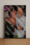 Evenement foto: 1251