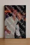 Evenement foto: 1251