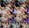 Evenement foto: 1251
