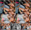 Evenement foto: 1251