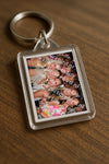 Evenement foto: 1250