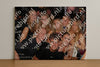 Evenement foto: 1249