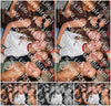 Evenement foto: 1249