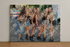 Evenement foto: 1230