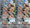 Evenement foto: 1230