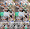 Evenement foto: 1230