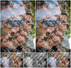 Evenement foto: 1188