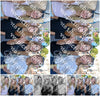 Evenement foto: 1188