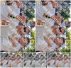 Evenement foto: 1187
