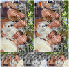 Evenement foto: 1186