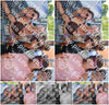 Evenement foto: 1186