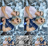 Evenement foto: 1184