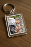 Evenement foto: 1184