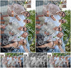 Evenement foto: 1183