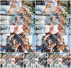 Evenement foto: 1183