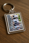 Evenement foto: 1179