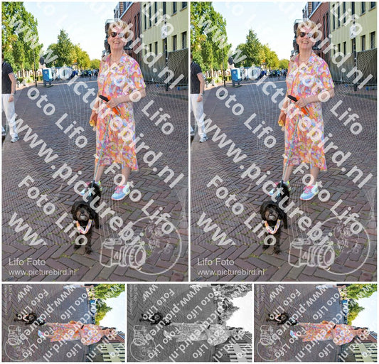 Evenement foto: 1103