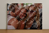 Evenement foto: 792
