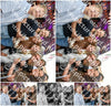 Evenement foto: 792