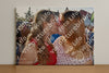 Evenement foto: 791