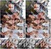 Evenement foto: 791