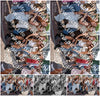 Evenement foto: 790