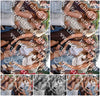 Evenement foto: 790
