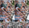 Evenement foto: 790