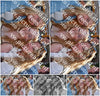 Evenement foto: 790