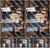 Evenement foto: 2752