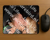 Evenement foto: 2752