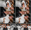 Evenement foto: 2709