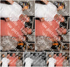 Evenement foto: 2709