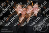 Evenement foto: 2708